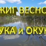 Восемь щук, окунь и чужая блесна... Рискнул половить джигом в коряжнике и не пожалел.