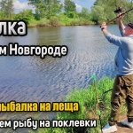 Рыбалка в мае. Ловля весеннего леща на реке. Лещ на реке Кудьма. Фидер в мае. Майский лещ