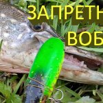 Я бы этот воблер запретил :) Он за утро выманил 5 щук из-под одной коряги. Идеальный топвотер на щуку...