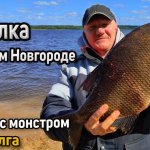 Крупный лещ на фидер. Рыбалка на Волге. Ловля леща. Как поймать крупного леща. Трофейный лещ