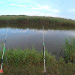 Забыл червей.  Смена погоды. От нуля ушел. Две неудачные рыбалки, ловля на ПРУЖИНУ @Fishing_luck