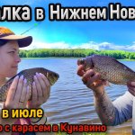 Рыбалка на карася. Крупный карась в июле. Как и на что ловить карася летом. Ловля карася на фидер