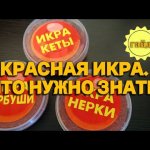 Что нужно знать о красной икре