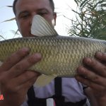 Рыбалка в конце лета, ловля на поплавок.Ловля карася. @Fishing_luck
