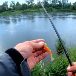 Дождь закончился, подобрал приманку и дело пошло! Рыбалка на спиннинг в 2023.