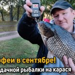 Ловим трофейных карасей в сентябре. Рыбалка ночью на карася. Прикормка по холодной воде