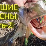 Лучшие блесны на щуку (часть 2). Kastmaster дал бой Kuusamo! Попал на жор щуки в сентябре.