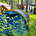 Супер рыбалка! 10 дней в лесу! Отдых с палатками.  Сом, щука, судак, окунь на спиннинг.  Часть 2