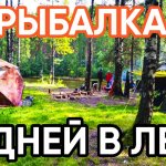 Клевая рыбалка с ночевкой! 10 дней в лесу! Сын поймал СОМА!  Отдых с палатками. Часть 4