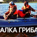 Рыбалка, грибалка, отдых на природе.  Весьегонск, Рыбинское водохранилище