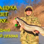 Поймал хозяйку коряги (часть 2). Помогли три хитрости...