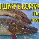 Поймал хозяйку коряги... Первый лед 2024, отличная зимняя рыбалка!