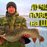 20 раз поднимал эту щуку к лунке... Правильный выбор поводка для жерлицы