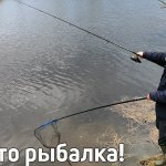 Рыбалка весной. Первые лещи. Закормили и начался клев. Пенопласт начал работать. Лещи в шоке