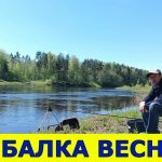 ПЕРВАЯ РЫБАЛКА С ЖЕНОЙ С НОЧЁВКОЙ! ФИДЕР И УДОЧКА. Отдых на природе с палаткой
