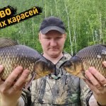 Место, где карасей больше чем воды. Рабочая прикормка на карася. Лучшая снасть на карася. Жор карася