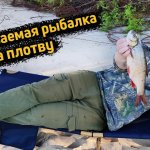 Волга плотва выпрыгивает на берег. Фидерная рыбалка на плотву. Что лучше донка или фидер. Прикормка