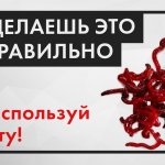 Как долго хранить мотыля. Правильный способ без газеты