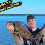 Ловим карася на Волге. Пуфы спасли рыбалку. Секреты ловли карася летом! Как поймать рыбу в жару.