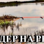 ЛОВЛЯ НА ФИДЕР НА РЕКЕ.  НЕ БОЙТЕСЬ МЕНЯТЬ ТОЧКУ! Рыбалка в мае 2024