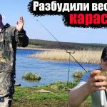 Разбудили весеннего карася. Рыбалка на карася ранней весной. Топ насадка на карася. Карась дуреет