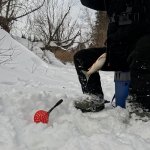 Старый омут. В поисках ельца