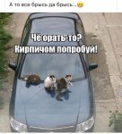 {$title}