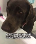 {$title}