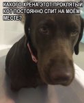 {$title}