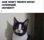 {$title}