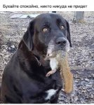 {$title}