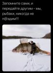 {$title}