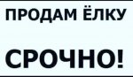 {$title}