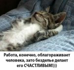{$title}