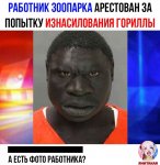 {$title}