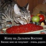 {$title}