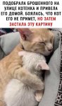{$title}