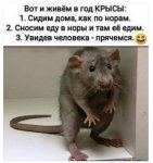 {$title}