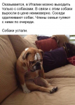 {$title}
