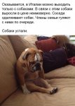 {$title}