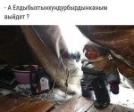 {$title}