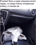 {$title}