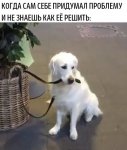 {$title}