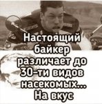 {$title}