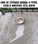{$title}