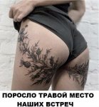 {$title}