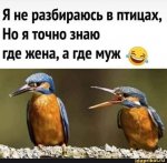 {$title}