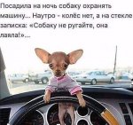 {$title}