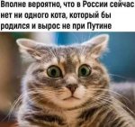 {$title}