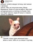 {$title}